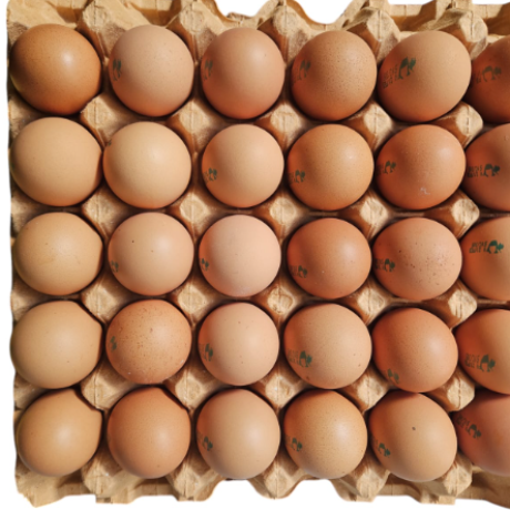 Imágen de productos relacionados