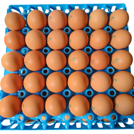 HUEVOS ROSADOS DE GALLINA SELECCION LA CALERA X KG