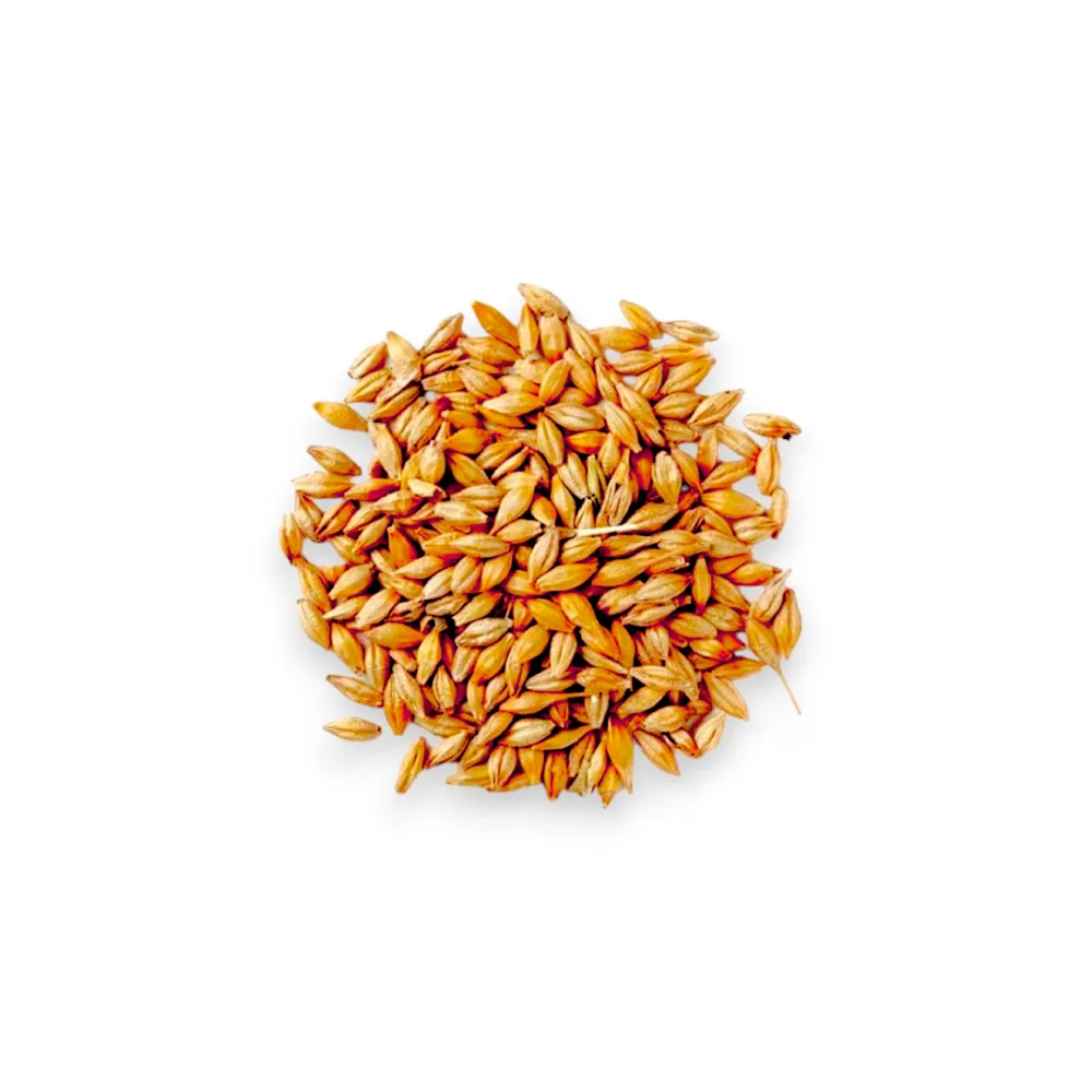 Cebada TOSTADA Granel x 1 kg