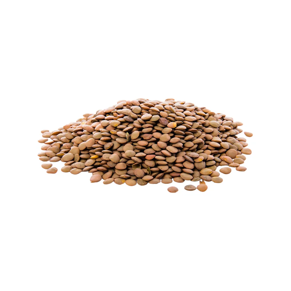 Lenteja AMERICANA Granel x kg