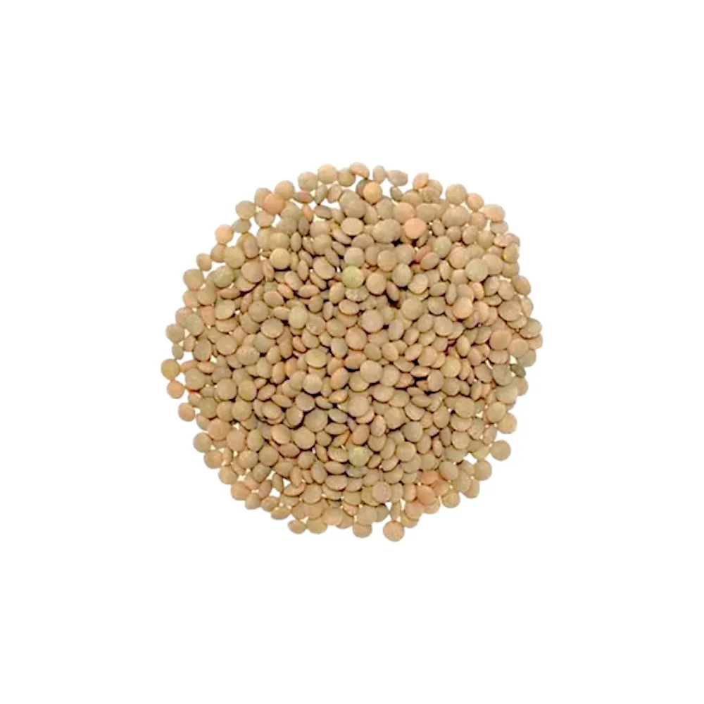 Lenteja BB Verde SELECCIONADA x 5 kg