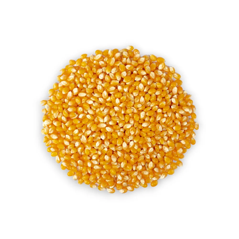 MAIZ DE CANCHA POP CORN SANTIS X KG