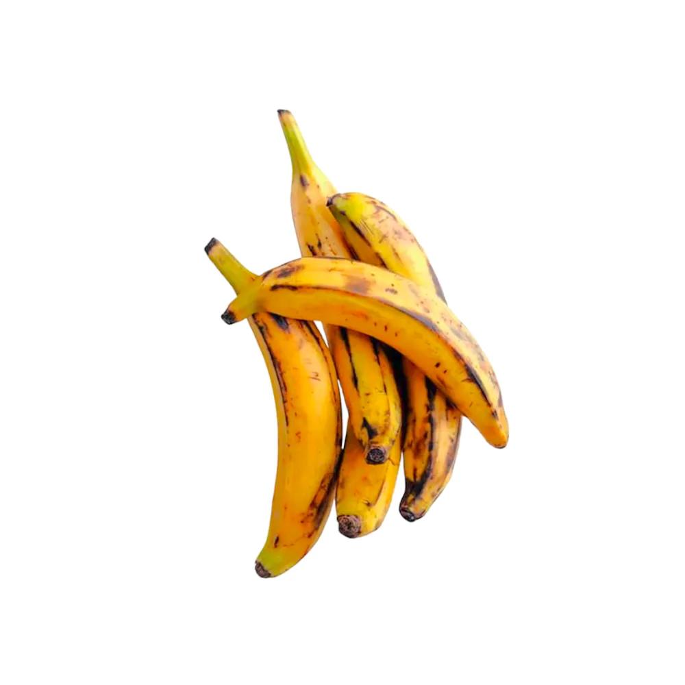 Platano Bellaco x un