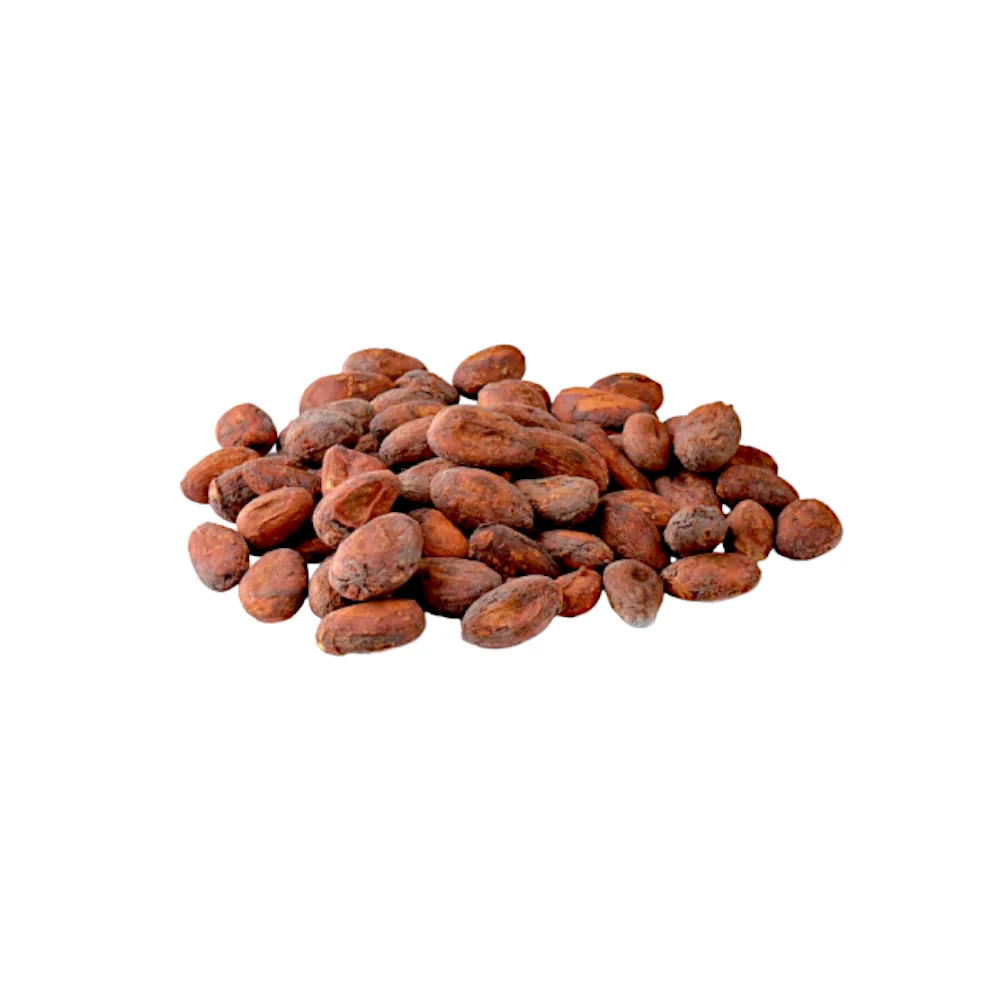 Cacao ORGANICO Entero x kg