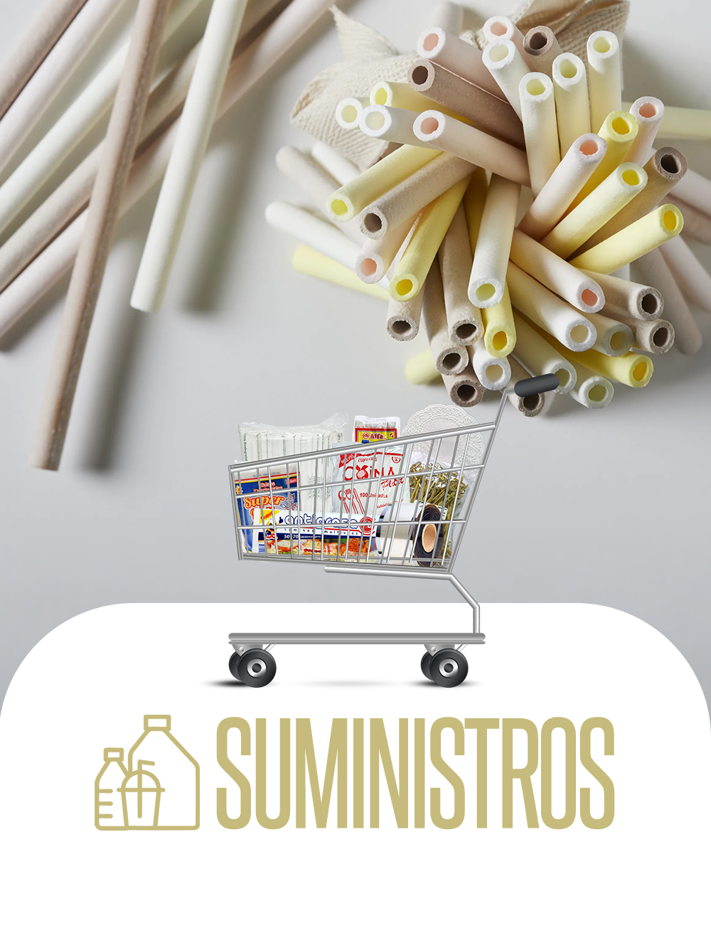 Suministros - Limpieza