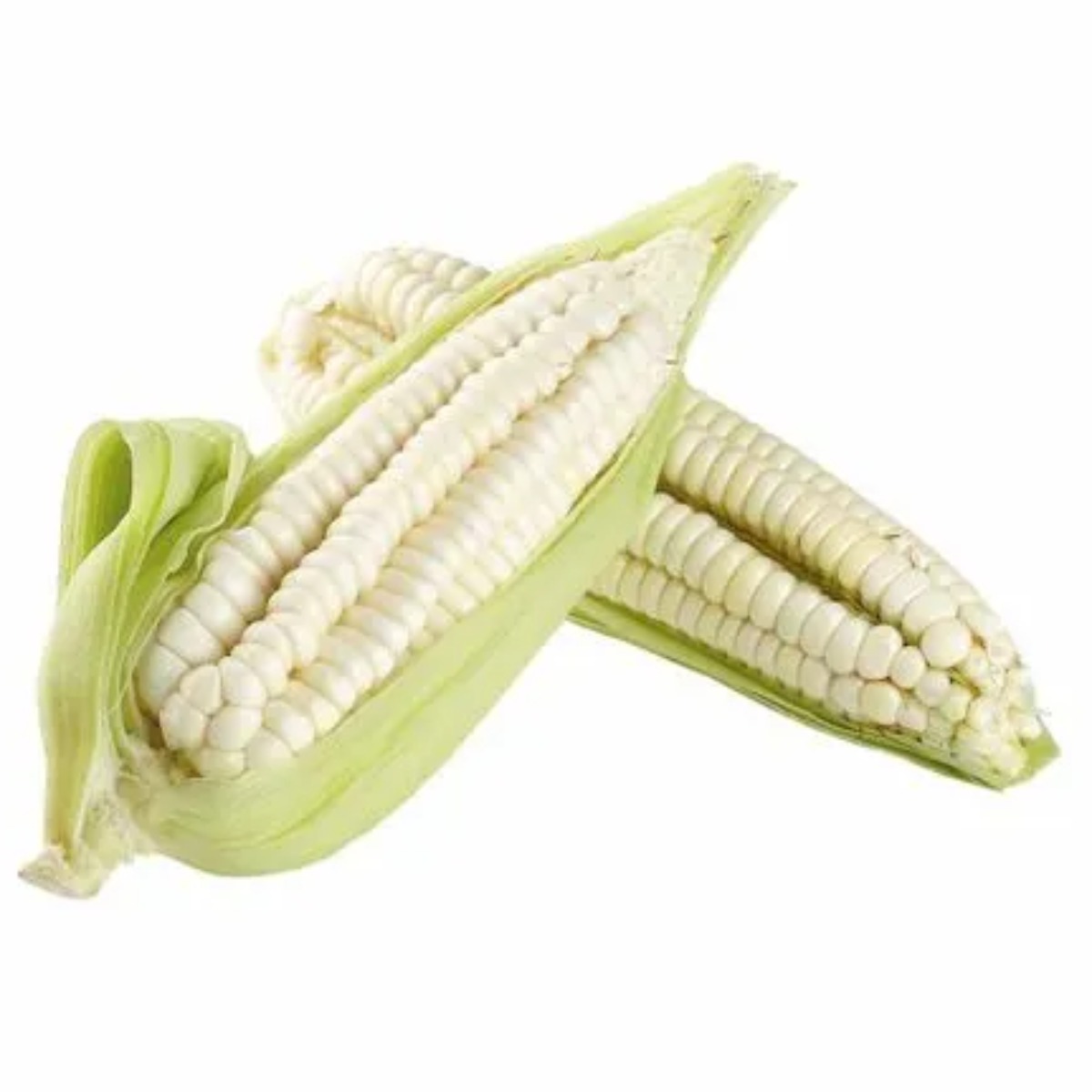 Choclo Serrano Entero x un