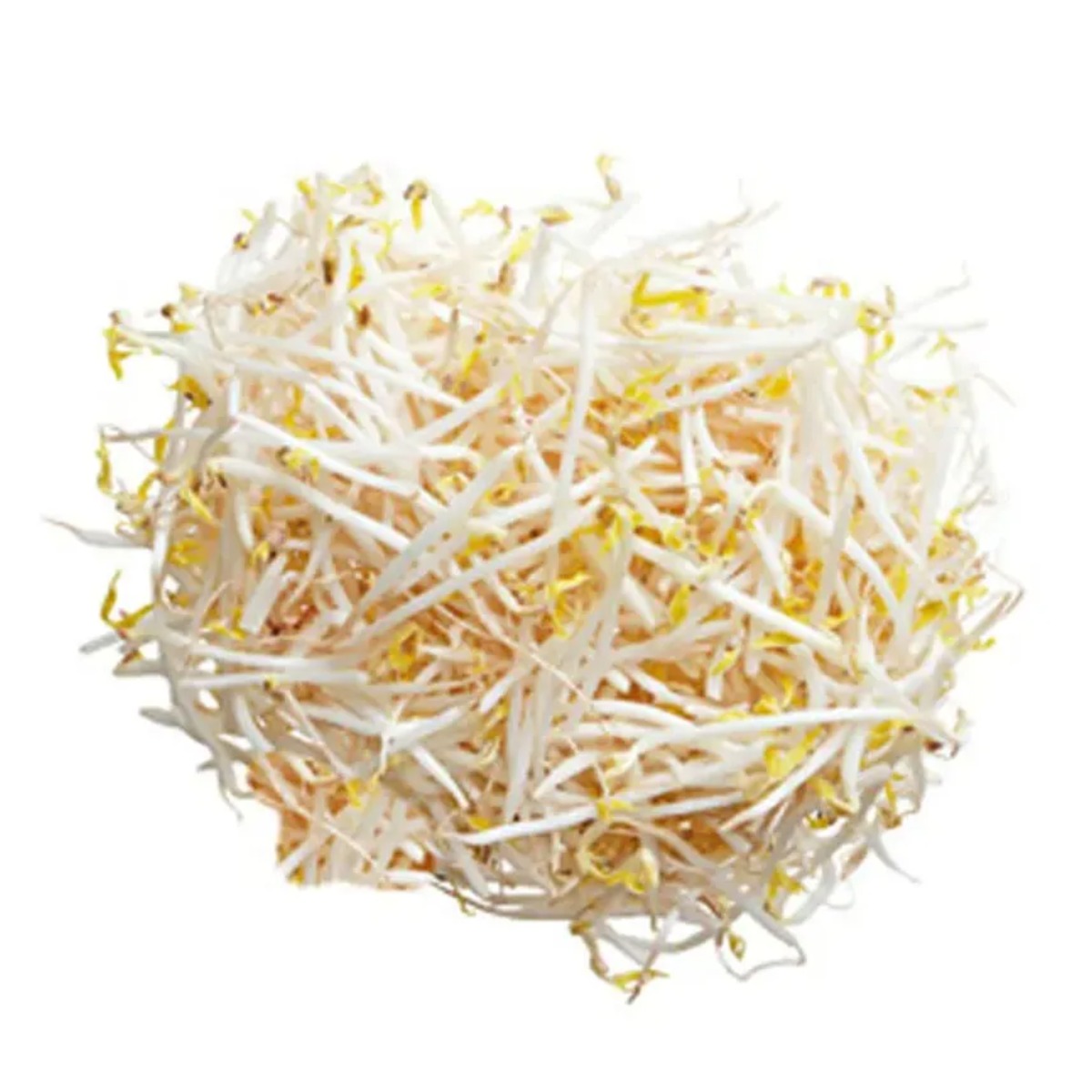 Frejolito Chino Germinado x kg