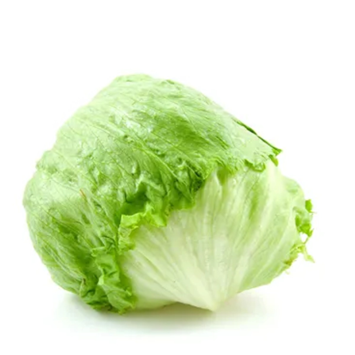 Lechuga Americana Unidad Aprox 650 gr
