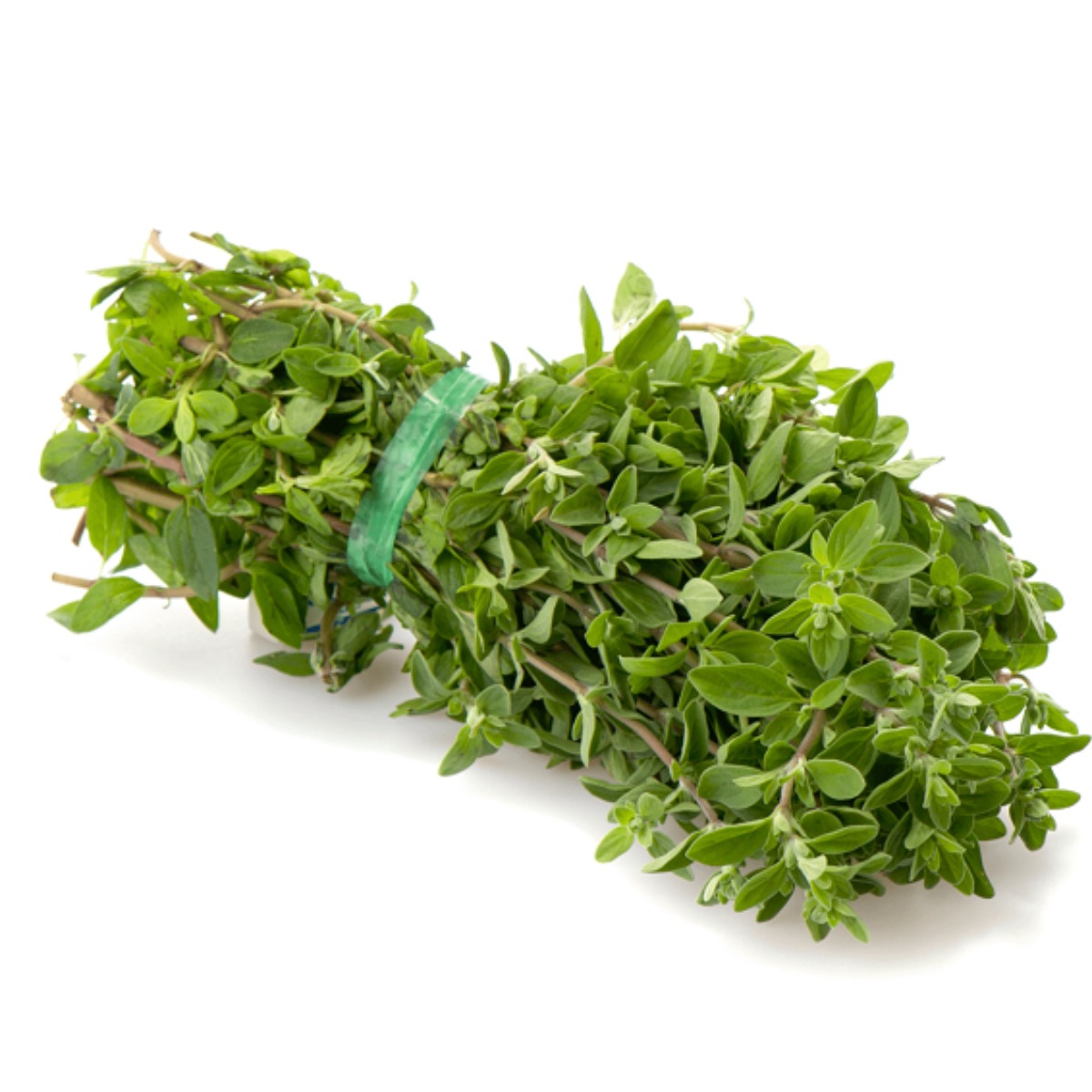 Oregano Fresco x Atado