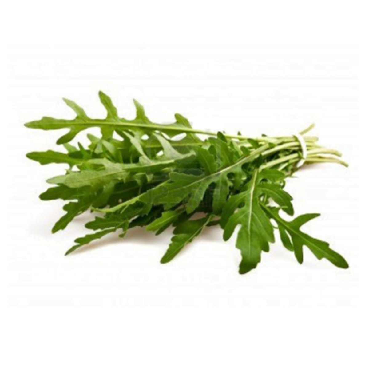 Arugula Bolsa Aprox 70 gr