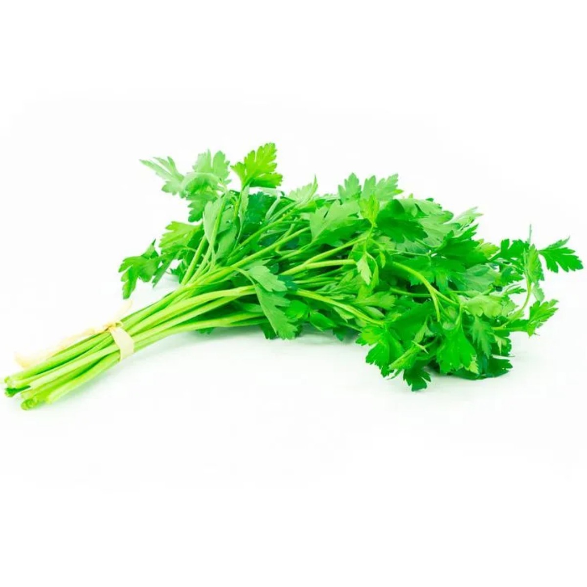 Culantro Atado Aprox 400 gr