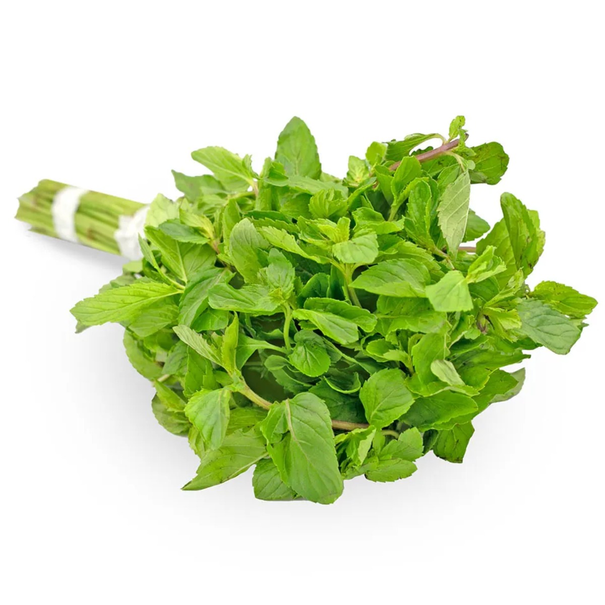 Hierba Buena Atado Aprox 200 gr