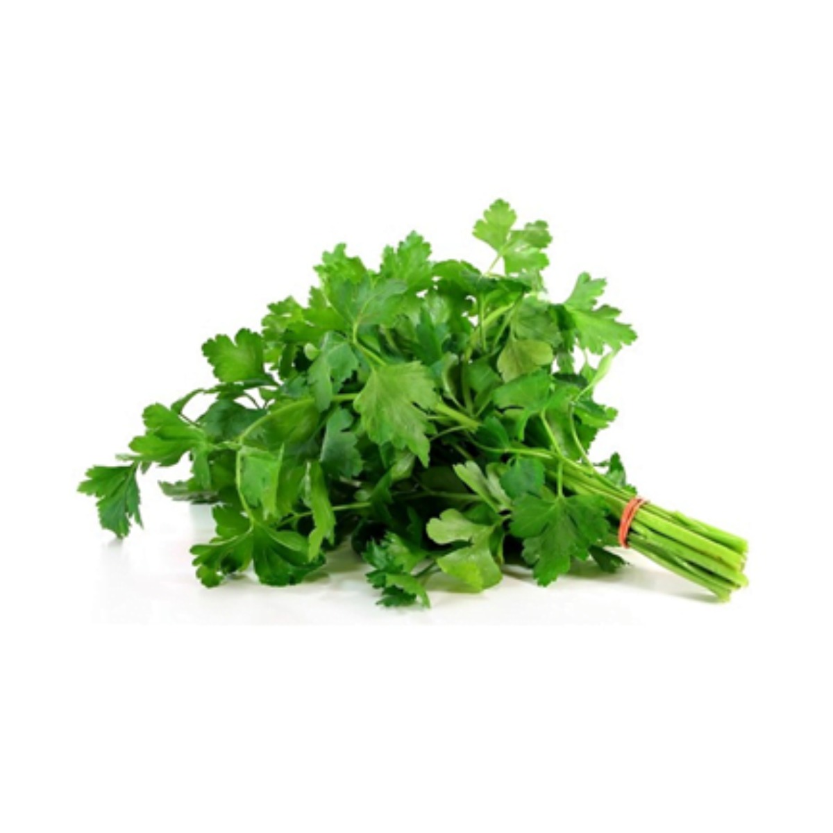 Perejil Criollo Atado